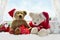 Teddy bears waiting for christmas time