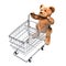 Teddy and Cart