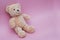 Tedy bear Toy on pink background with Copy Space