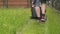 Teen boy cutting grass with electric lawn mower