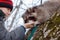 Teen boy feeding from the hand of a raccoon