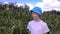 teen boy walking in cornfield in summer, looking around and smiling, summer weekend in the countryside, cinematic