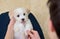 Teen boy with white puppy maltese dog