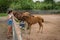 Teen feeding a baby horse