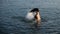 Teen flipping hair in water and making a splash