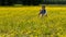 Teen girl with braids sitting in large field with yellow flowers