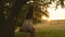 Teen girl enjoys a flight on a swing on a summer evening in the forest. young girl swinging on a rope swing on an oak