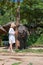 Teen girl feeding elephant calf