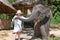 Teen girl feeding elephant calf