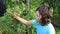 Teen girl in garden eats raspberries