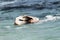 Teen Girl With Paddle Board In Ocean Waves On Side Under Water