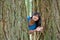 Teen girl peeking through trees, waving and smiling