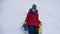 Teen girl plays in a winter park on christmas holidays. girl slides in winter in snow from high hill on sled and an