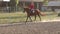 Teen girl rides on a brown horse on a horse farm.