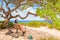 Teen girl sitting on bench under trees by ocean