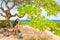 Teen girl sitting on bench under trees by ocean