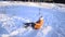 Teen girl sledding from a hill in the winter snow park, a dog playing with a cheerful girl, video shooting on the move.