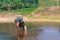 Teen girl washes an elephant with a brush. the girl with the elephant in the water. an elephant is swimming with a girl