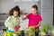 Teen girls enthusiastically replanting indoor plants in the kitchen.