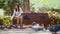 Teen lures birds to feed in the park. A flock of birds pecking bread  sunflower seeds. Pigeons begging for food.