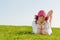 Teen lying on grass wearing a nice purple hat