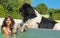 Teen and newfoundland dog in swimming pool