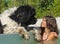 Teen and newfoundland dog in swimming pool