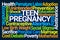 Teen Pregnancy Word Cloud