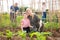 Teen son helps mother clean weeds in garden beds