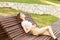 Teen sunbathing, girl in summer, in hot weather on a sunny day on a bench in the park