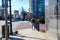 A teenage African American man with a backpack walking along the sidewalk in the city with bare winter trees