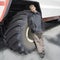 Teenage boy in front of a large tire