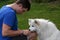 Teenage boy and his samoyed