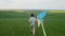 A teenage boy walks across a field with a yellow-blue kite.