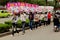 Teenage Chinese Girls Walking with Advertising Placards, Kaifeng, China