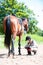 Teenage equestrian girl checking for injury of bay horse leg