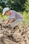 Teenage farmer at root vegetables harvesting