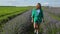 A teenage girl admires the lavender blossoms. Lavender field. Cultivated lavender.