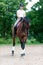 Teenage girl equestrian riding horseback on arena at sport train