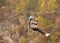 A teenage girl flies on a zipline against the background of mountains covered with autumn forest