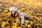 Teenage girl lying and playing in the leaves, happy,