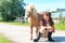 Teenage girl owner talking with her friend small shaggy pony