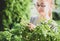 Teenage girl picking locally grown fresh herbs basil leaves outdoor in the garden