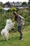 Teenage girl plays with a young  samoyed