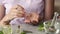 Teenage girl`s hands taking homeopathic pills or globules from a glass bottle, with essential oils and herbs in the foreground