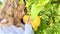 a teenage girl is standing near a lemon tree she is holding a lemon in her hands she is sniffing it she is going to make