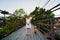 Teenage girl with a stray dog on a wooden bridge