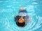 Teenage girl swimming backstroke in a pool