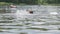 A teenage girl swims in the water on the lake near the warning buoy.