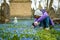 Teenage girl taking photos of blue scilla siberica spring flowers blossoming in Bernardine cemetery, one of the three oldest